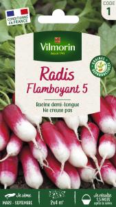 Radis Flamboyant 6
